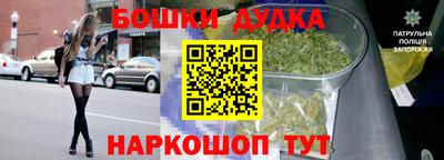 ешки Гагарин