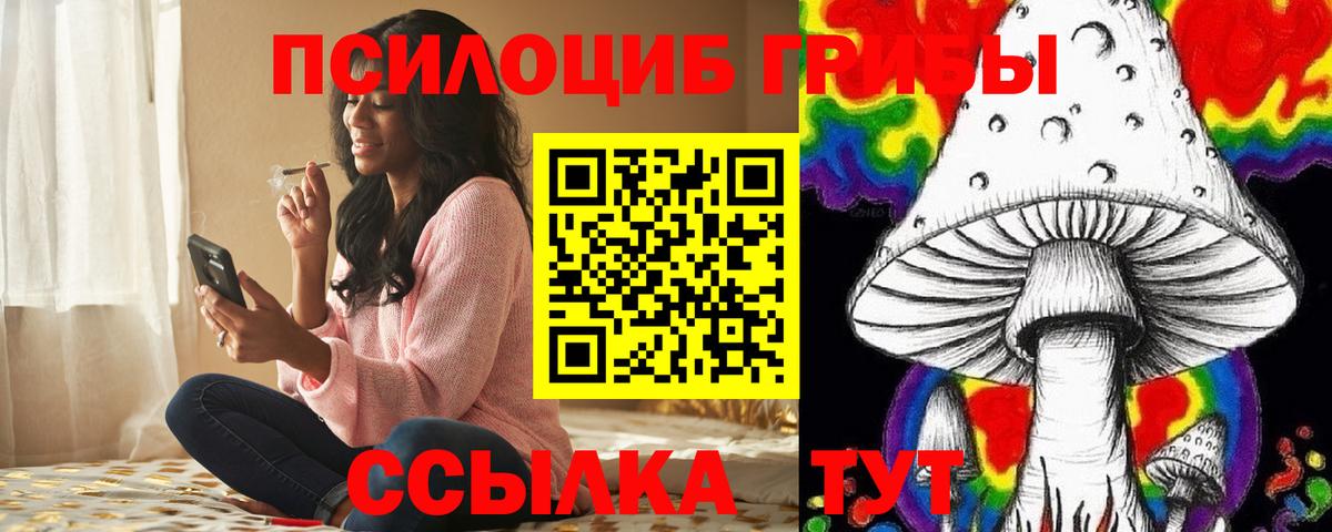 Галлюциногенные грибы Cubensis Малоярославец
